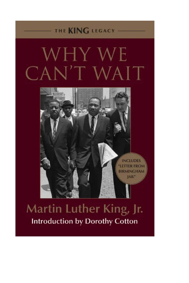 Why We Can't Wait, A powerful book by Martin Luther King, Jr. preview 5