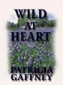 Wild at Heart, Discovering the Secret of a Man's Soul preview 4