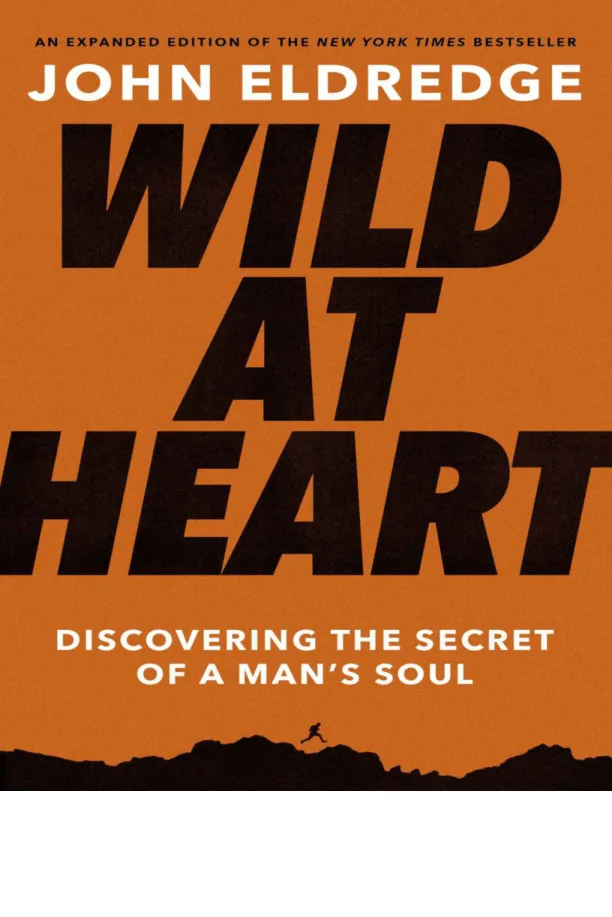 Wild at Heart, Discovering the Secret of a Man's Soul preview 5
